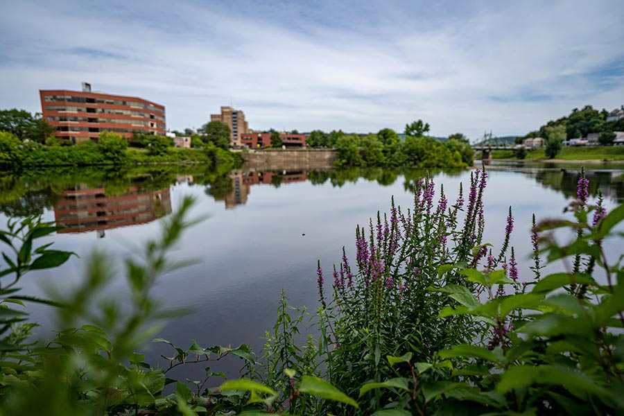 Easton, PA Insurance - Easton Buildings Across the River With Wildflowers