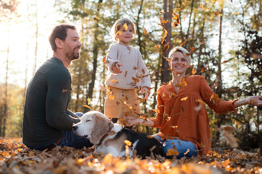 Personal Insurance - Family Playing in the Fall Leaves With Their Dog